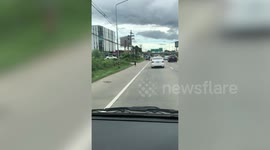 Dogger playing frogger: Stray dog amuses motorists after pointlessly chasing vehicles on the road