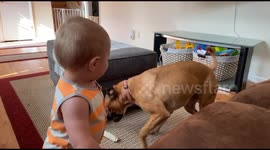 This adorable tot and pup duo have a tail chasing good time