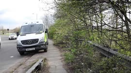 Police launch investigation after remains were found in a wood