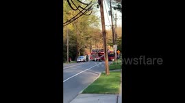 Utility van crashed into a tree in Woodbury, New Jersey, USA