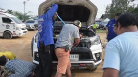 Ferocious 14ft king cobra caught inside car engine in Thailand