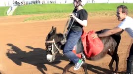 Funny donkey races take place in central Russia