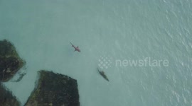 Shark stalks crocodile through shallow water off the coast of Australia