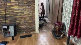 my cat is playing with my daughter2