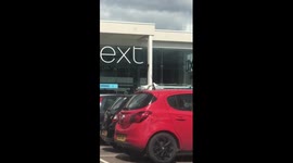 Seagulls play tug of war with an apple on top of car