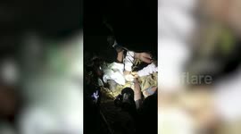 Forest officials rescue and release porcupine from well in southern India