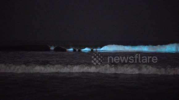 ICYMI: Stunning bioluminescent waves crash in southern California