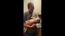 Kitten Knows He's Spoiled