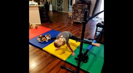 Psycho Kitty Strikes Again