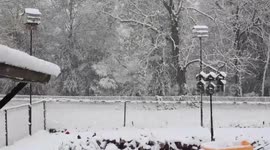 Missouri slammed with spring snow