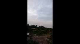 The  mysterious Bird 