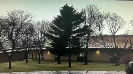 Lightning hits tree outside school in Wisconsin