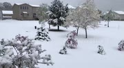 temp