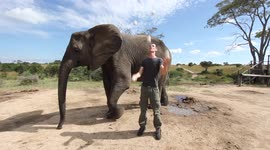 Elephant not impressed by jugglers