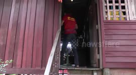 Family shocked after finding nest of bees in their wardrobe