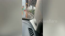 Terrifying moment deadly pit viper snake climbs onto car windscreen during storm