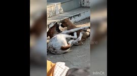 MOM love SON (mom showed her love for her son ) beutiful.