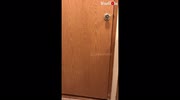 temp