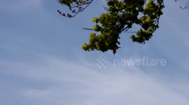 2 air ambulances called to a park in Colwyn Bay, North Wales (helicopters Min-Y-Don park, Old Colwyn)