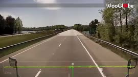 'Bird Drops Fish onto a Charlotte Trucker's Windshield'