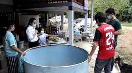 Endangered sea turtle rescued after getting lost in canal in Thailand