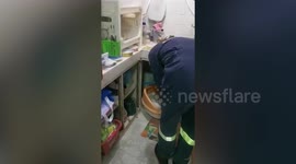 Python hides under the sand in cat’s litter tray