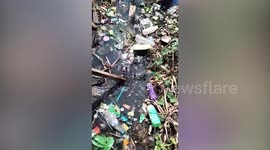 Rescuers save rat snake tangled in wires in Thiland