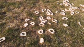 A strange find on Blackheath, south London