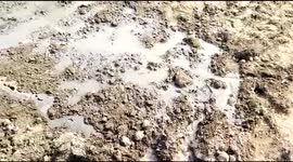 Watch - Earthquake in Assam - Visuals from Golaghat shows cracks in farm land and water coming out