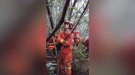 Fireman falls asleep while leaning on tree after battling forest fire for 3 days