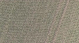 Flying over field with drone overhead footage of mainly farm field