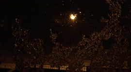 Snowing outside with ice melting on window Payne making striking image caught live on video camera