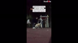 'Run in Opposite Directions to See Who Your Dog Follows'