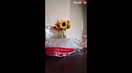 'Australian Woman Shares Life-Changing Hack for Storing Reusable Shopping Bags'