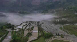 Eerie drone footage shows Chinese valley shrouded in blanket of fog