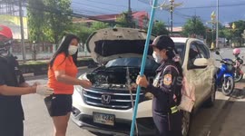 Monitor lizard caught sheltering from rain in car engine in Thailand