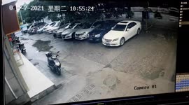Tree crashes down onto cars parked under it in southern China
