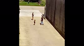 Dad with spidey sense destroys pit bull barreling toward toddler