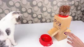 YouTuber builds food dispenser from scratch for his pet cat