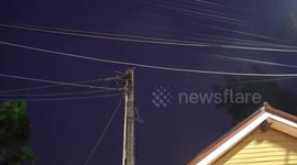 Monitor lizard rescued after getting stuck on top of electricity post