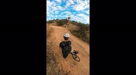 Giraffe stops biker for a sniff