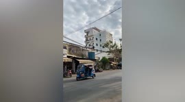 Gibbon walks along electricity lines like drunk pirate Jack Sparrow in Cambodia