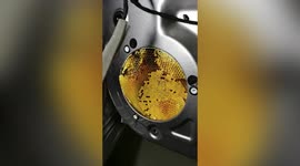 Motorist finds honeycomb inside his car after spotting bees flying in vehicle