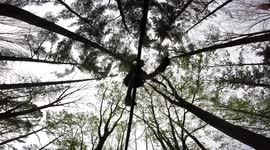 Mesmerising slacking figures