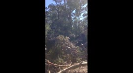 Kid crashes on big dirt jump!