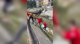Heroic men form human chain to rescue stray dog from creek in Turkey