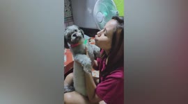 Cute dog refuses to kiss owner