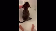 temp