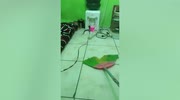 temp