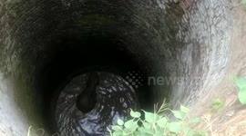 Forest officials rescue elephant calf from 30-feet-deep-well in eastern India